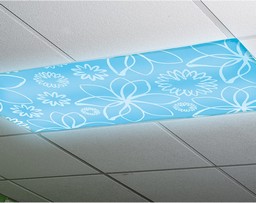 Light Filters for Every Season