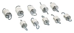 Eisco Labs Steel Cylinder Hooked Weights - Set of 10 total weight 375 grams