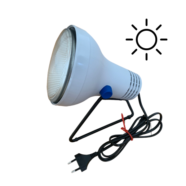 Solar lamp
