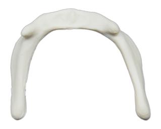 Hyoid Bone Model - Anatomically Accurate Human Bone Replica - Eisco