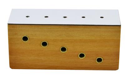 Hardwood Insect Pinning Block, Contains 5 Holes with Different Heights for Pins - Eisco Labs