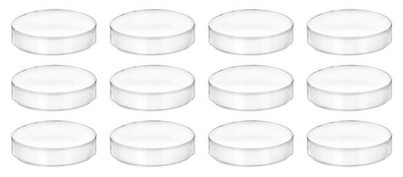 12PK Plastic Petri Dishes with Lids - 2