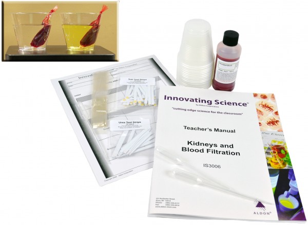 Innovating Science® - Kidneys and Blood Filtration