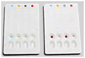 Innovating Science® - Erycardï®® ABO Blood Typing Card Pack/24
