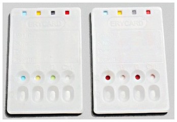 Innovating Science® - Erycardï®® ABO/Rh Blood Typing Card Pack/24