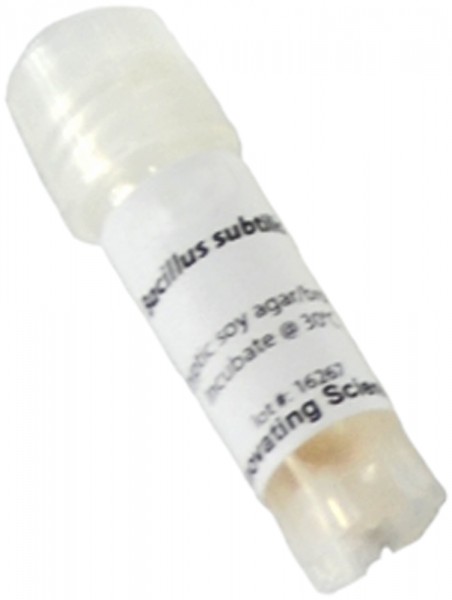 Innovating Science® - Freeze Dried Bacteria Culture - Bacillus Subtilis