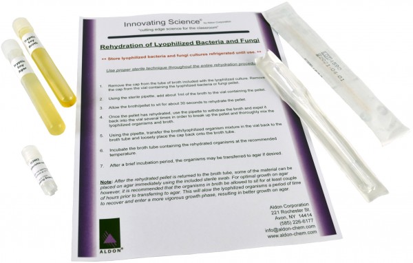 Innovating Science® - Freeze Dried Bacteria Culture - E. Coli