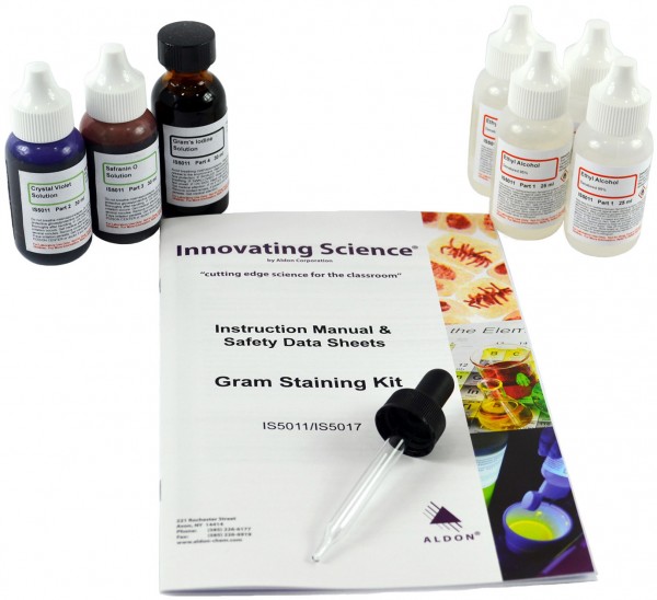 Innovating Science® - Gram's Stain Kit