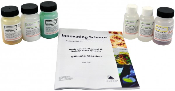 Innovating Science® - The Silicate Garden