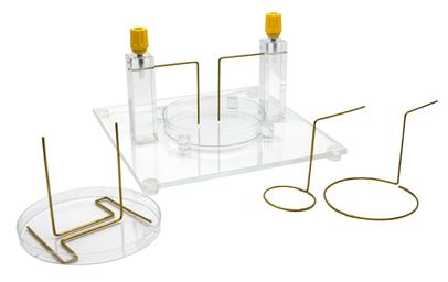 Electric Field Apparatus - For Demonstrating Electric Field Shapes - Eisco Labs