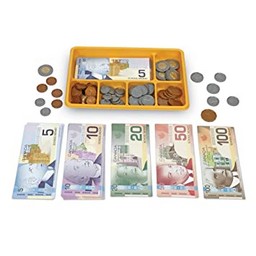 Canadian Currency X-Change™ Activity Set 