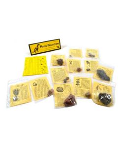 12 Piece Deluxe Fossil Collection - Includes 12 Samples, Information Cards and a Geological Timescale - Great For Introductory Fossil Study - Eisco Labs