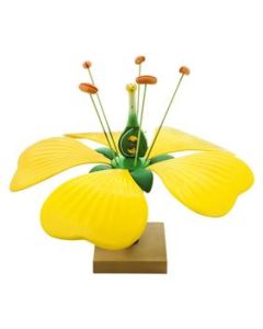 Typical Flower Model - Eisco Labs