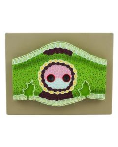 Monocot Leaf Model, Vertical Section, 13" x 10" - 300x Magnified - Eisco Labs