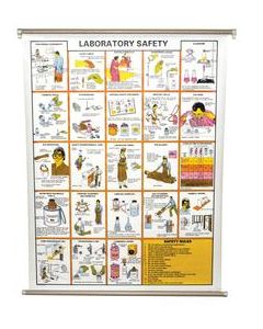 Laboratory Safety Chart, 30x40" - Colored Illustrations - Polyart Plastic Sheet, with Roller - Eisco Labs