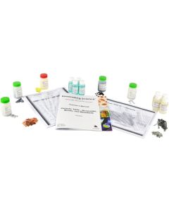 Innovating Science® - Periodic Table - Nonmetals, Metals and Metalloids