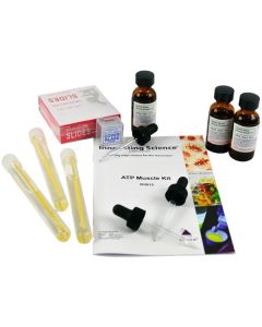 Innovating Science® - ATP Muscle Kit