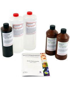 Innovating Science® - Gram's Stain Kit - Large