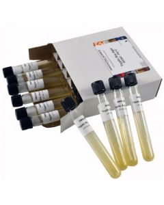 Innovating Science® - Tryptic Soy Agar Slant Tubes pk/12