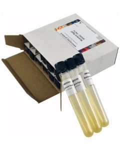 Innovating Science® - Nutrient Agar Tubes Pk/12