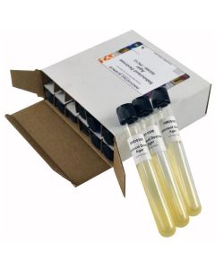 Innovating Science® - Sabouraud Dextrose Agar Tubes Pk/12