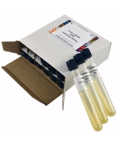 Innovating Science® - Potato Dextrose Agar Tubes Pk/12