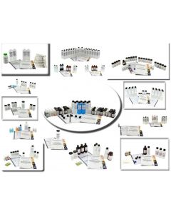 Innovating Science® - - Complete Set of 16 NEW AP Chemistry Kits