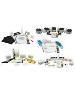 Innovating Science® - Forensics Mastery Set Refill