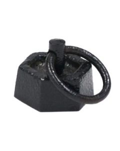 Iron Masses - Hexagonal with Lifting Ring - 50g - Eisco Labs