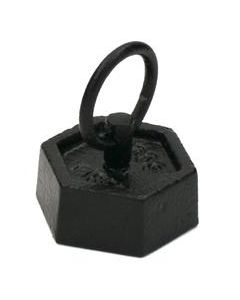 Iron Masses - Hexagonal with Lifting Ring - 100g - Eisco Labs