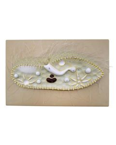Paramecium Model, Three Dimensional, Sectional View with Hand Painted Details - Mounted on Base, 15" x 9.5" - Eisco Labs