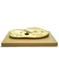 Eisco Labs Paramecium Model