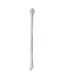 Fibula Bone Model - Left - Anatomically Accurate Human Fibula Bone Replica - Eisco