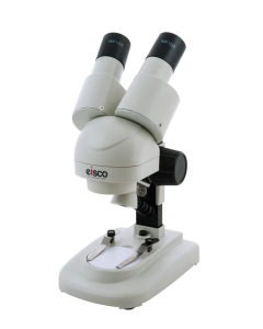 Microscope Stereoscopic