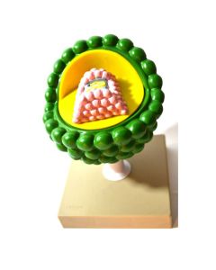 Eisco Labs Model of AIDS Virus; Greatly Magnified; 2 Parts; On stand