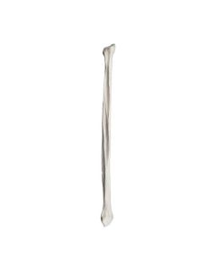 Fibula Bone Model - Right - Anatomically Accurate Human Fibula Bone Replica - Eisco