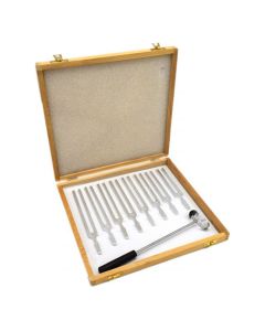 Physics Tuning Forks, Set of 8, with Mallet - Scientific Pitch, C4 = 256Hz - Includes Wooden Storage Case - Designed for Scientifc and Physics Experiments - Eisco Labs