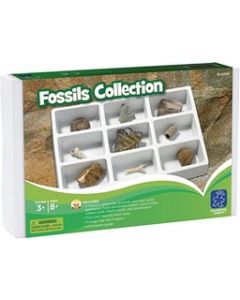 Fossils Collection