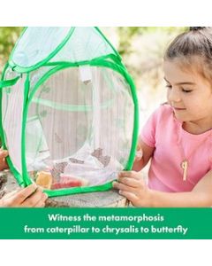 GeoSafari® Jr. Butterfly Bungalow