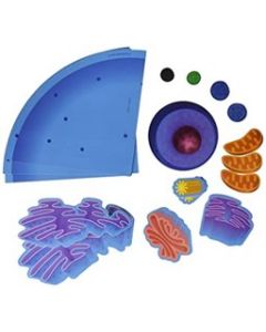 Giant Magnetic Animal Cell