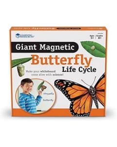 Giant Magnetic Butterfly Life Cycle
