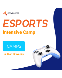 STEM Forged Esports Intensive Camp-6 Weeks