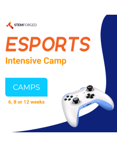 STEM Forged Esports Intensive Camp