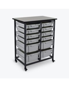 Mobile Bin Storage Unit - Double Row with Large and Small Gray Bins