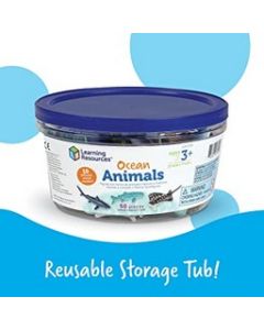 Ocean Animals
