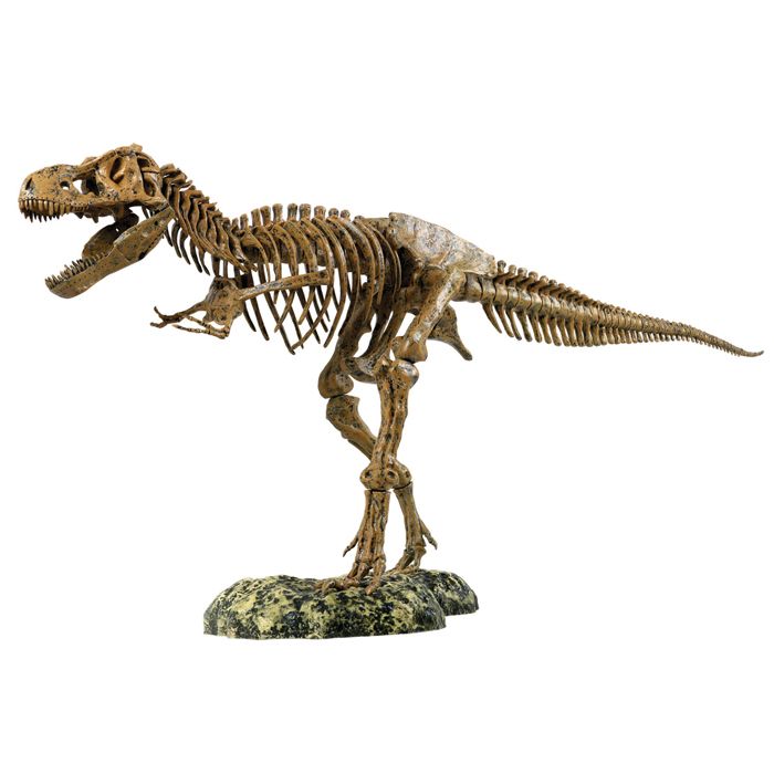 Elenco Wildlife Globe