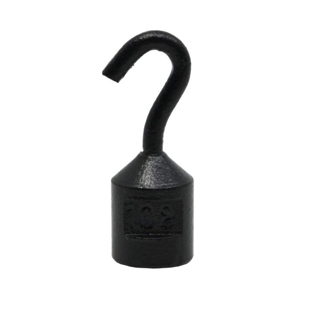 10g Iron Hooked Weight with Label - Eisco Labs