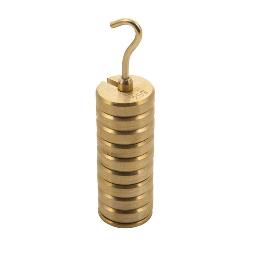Slotted Set of Masses and Hanger, set of 9 weights, one hanger each of 25gm, total 250gm