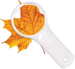 Learning Resources Dual Lens Magnifiers