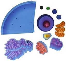 Giant Magnetic Animal Cell